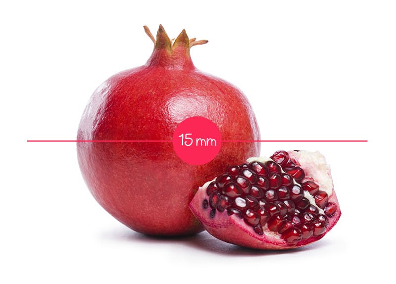L Evolution Du Fœtus In Utero En 36 Fruits Et Legumes Parents Fr L Evolution Du Fœtus In Utero En 36 Fruits Et Legumes Parents Fr
