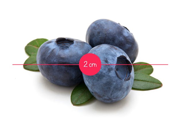 L Evolution Du Fœtus In Utero En 36 Fruits Et Legumes Parents Fr L Evolution Du Fœtus In Utero En 36 Fruits Et Legumes Parents Fr