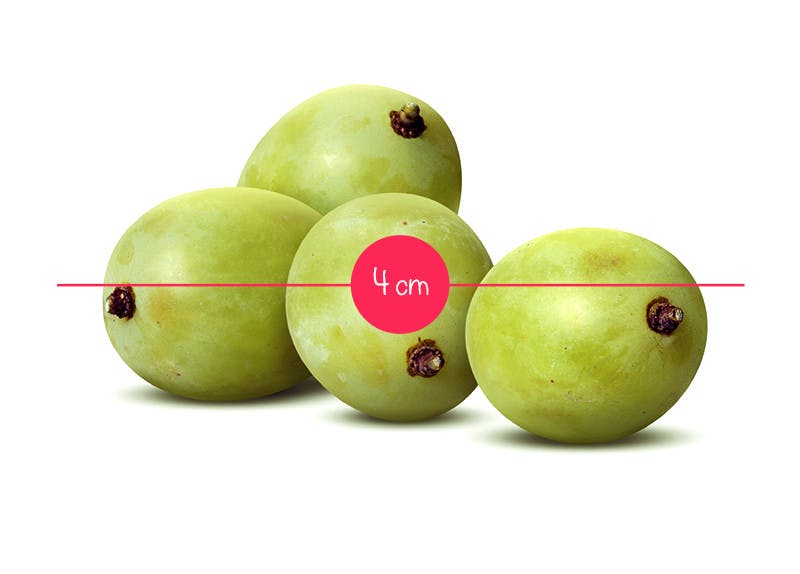 L Evolution Du Fœtus In Utero En 36 Fruits Et Legumes Parents Fr L Evolution Du Fœtus In Utero En 36 Fruits Et Legumes Parents Fr