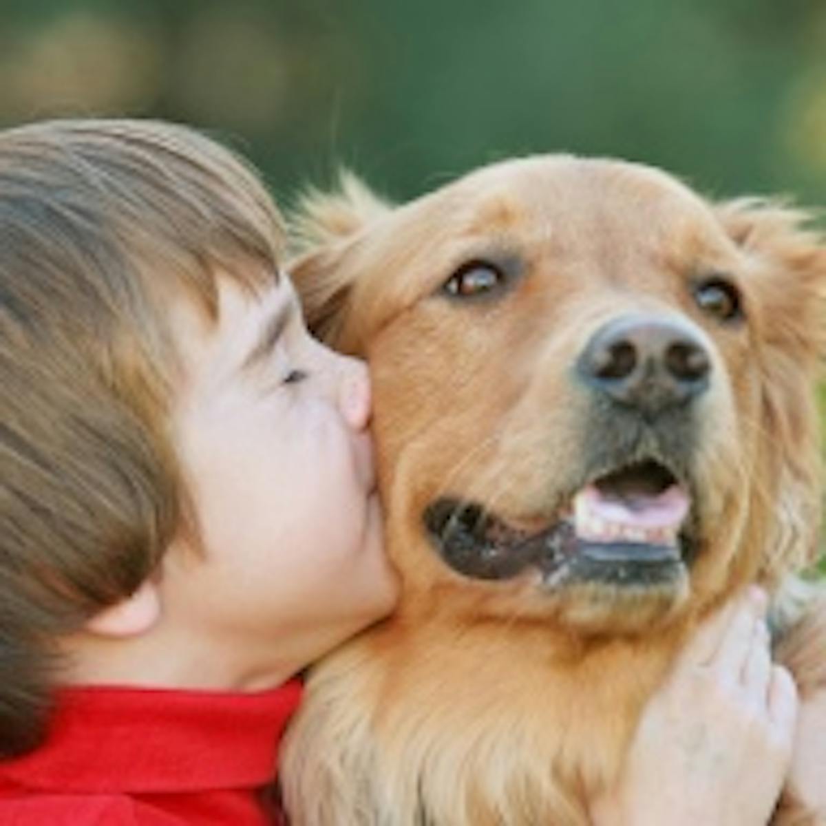 Dans une vidéo émouvante, un enfant retrouve son chien disparu | PARENTS.fr