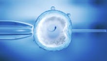 Infertilité : des embryons humains survivent pendant
  13 jours in vitro