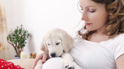 Diapo : d’adorables clichés de chiens auprès de leur
  maîtresse enceinte