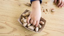 Allergie à l'arachide chez l’enfant : un patch prouve
  son efficacité
