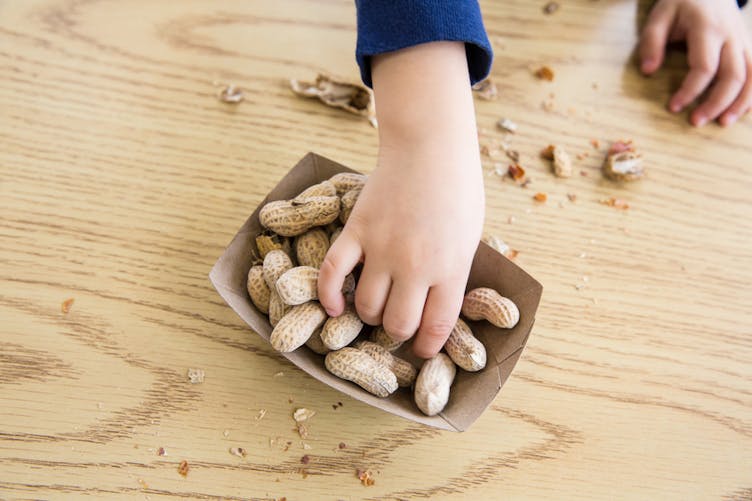 Allergie à l'arachide chez l’enfant : un patch prouve
  son efficacité