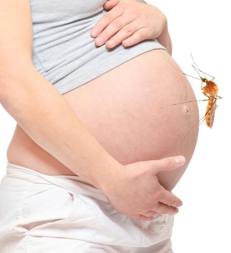Virus Zika : les bébés peuvent développer une
  microcéphalie jusqu’à l’âge d’un an