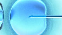 Pays-Bas : une grave erreur de procédure dans une
  clinique de fécondité