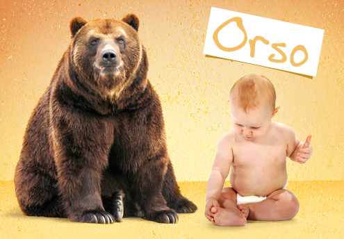 Les Prénoms Dorigine Animaux Parentsfr Parentsfr