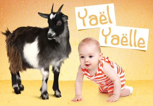 Les Prenoms D Origine Animaux Parents Fr Parents Fr