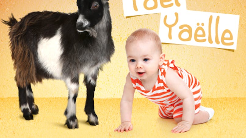 Les Prenoms D Origine Animaux Parents Fr Parents Fr Les Prenoms D Origine Animaux Parents Fr Parents Fr