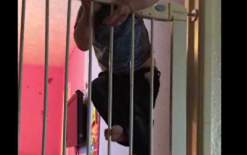 Impressionnant Ce Bebe Escalade Une Barriere De Securite De 1 60 Metre De Haut Video Parents Fr Impressionnant Ce Bebe Escalade Une Barriere De Securite De 1 60 Metre De Haut Video Parents Fr