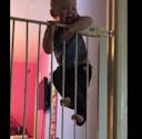 Impressionnant : Ce bébé escalade une barrière de sécurité de 1,60 mètre de haut ! (VIDEO)