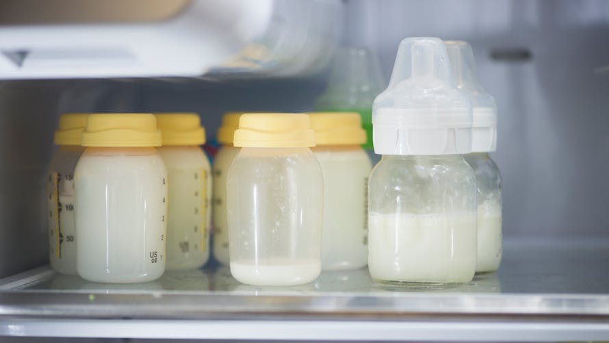 lait maternel refrigerateur