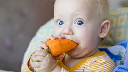 Fruits et légumes : bébé passe au cru