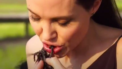Quand Angelina Jolie mange des araignées avec ses enfants… (VIDEO)