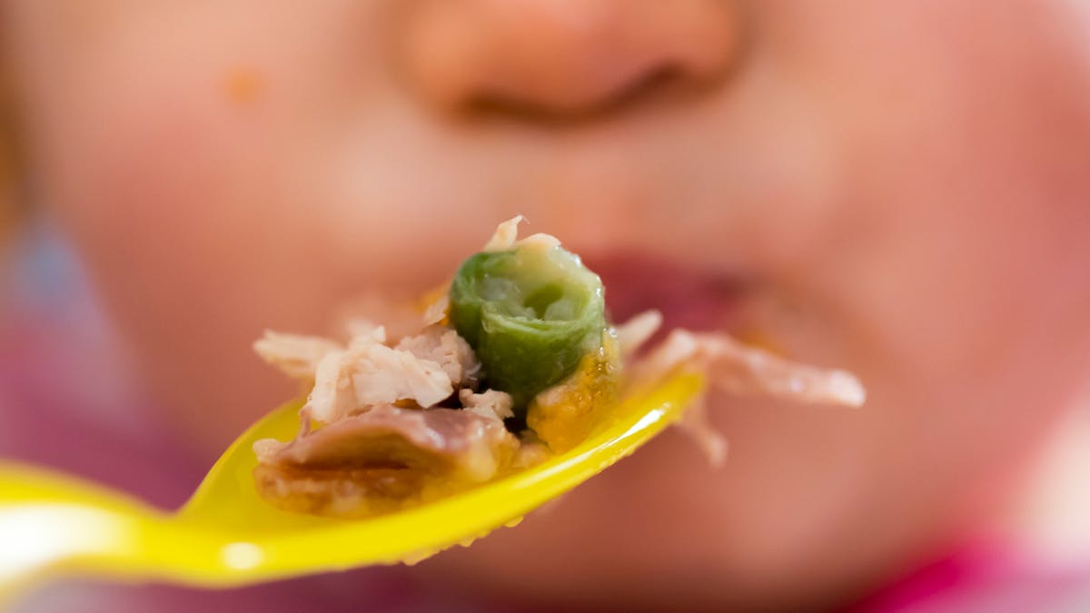 Diversification Alimentaire La Viande Dans Les Repas De Bebe Parents Fr Diversification Alimentaire La Viande Dans Les Repas De Bebe Parents Fr