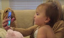 Adorable : Deux bébés discutent sur FaceTime (VIDEO)
