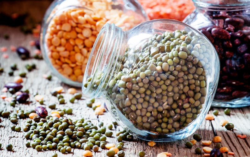 Diversification Alimentaire Les Legumes Secs Pour Bebe Parents Fr Diversification Alimentaire Les Legumes Secs Pour Bebe Parents Fr