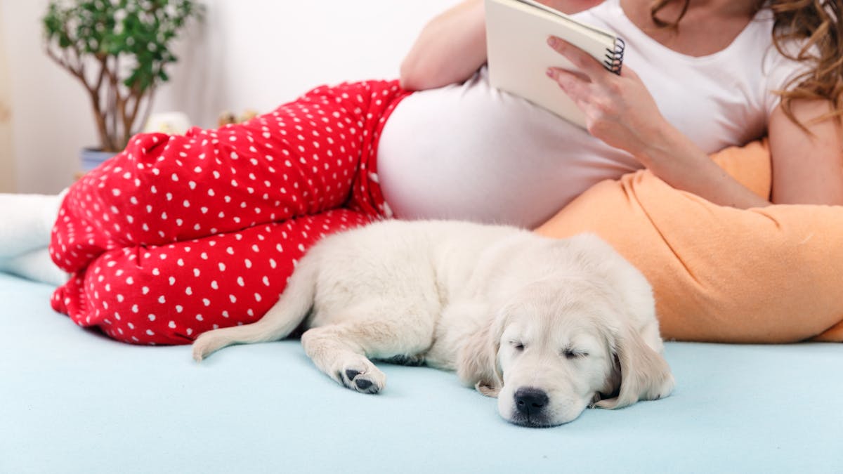 Prenom Garcon Top 100 Des Prenoms De Garcons En 21 Prenom Garcon Parents Fr Prenom Garcon Top 100 Des Prenoms De Garcons En 21 Prenom Garcon Parents Fr