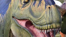 Thoiry fait voyager les enfants au temps des dinosaures