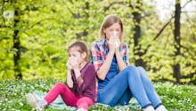 Allergie : les pollens de bouleau au Nord, le cyprès au Sud