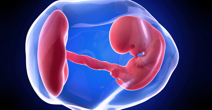 8 Semaine De Grossesse 10 Sa De Grossesse 8eme Semaine Parents Fr 8 Semaine De Grossesse 10 Sa De Grossesse 8eme Semaine Parents Fr