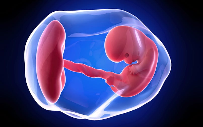 8 Semaine De Grossesse 10 Sa De Grossesse 8eme Semaine Parents Fr 8 Semaine De Grossesse 10 Sa De Grossesse 8eme Semaine Parents Fr