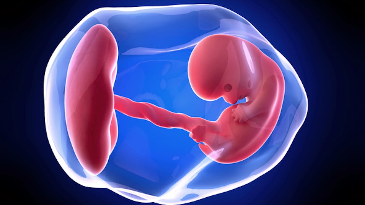 8 Semaine De Grossesse 10 Sa De Grossesse 8eme Semaine Parents Fr 8 Semaine De Grossesse 10 Sa De Grossesse 8eme Semaine Parents Fr