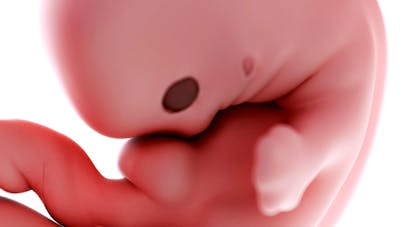 9 Semaine De Grossesse 11 Sa De Grossesse 9eme Semaine De Grossesse Parents Fr 9 Semaine De Grossesse 11 Sa De Grossesse 9eme Semaine De Grossesse Parents Fr