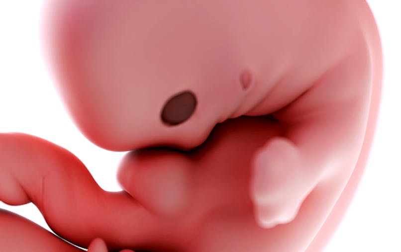 9 Semaine De Grossesse 11 Sa De Grossesse 9eme Semaine De Grossesse Parents Fr 9 Semaine De Grossesse 11 Sa De Grossesse 9eme Semaine De Grossesse Parents Fr