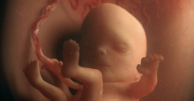 11 Semaine De Grossesse 13 Sa De Grossesse 11eme Semaine Parents Fr 11 Semaine De Grossesse 13 Sa De Grossesse 11eme Semaine Parents Fr