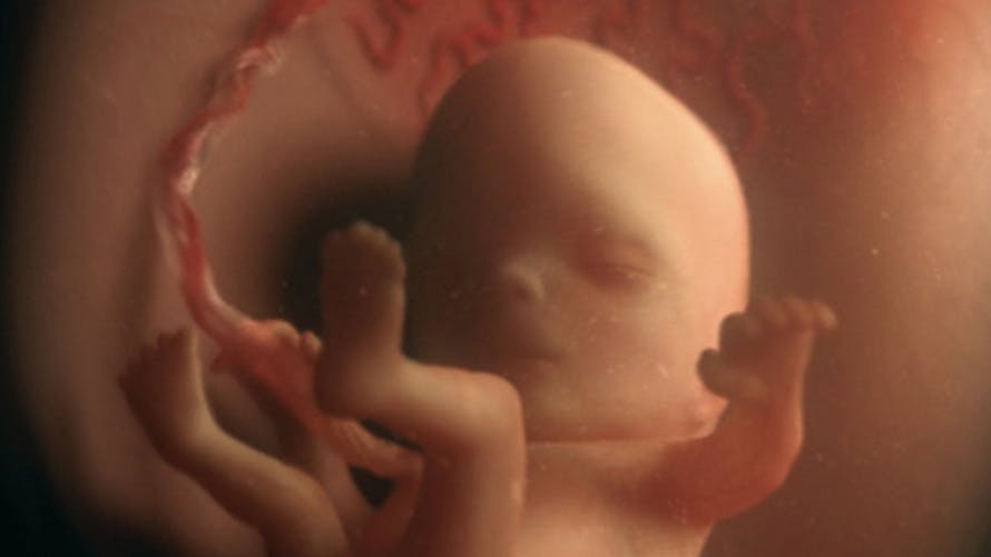 11 Semaine De Grossesse 13 Sa De Grossesse 11eme Semaine Parents Fr 11 Semaine De Grossesse 13 Sa De Grossesse 11eme Semaine Parents Fr