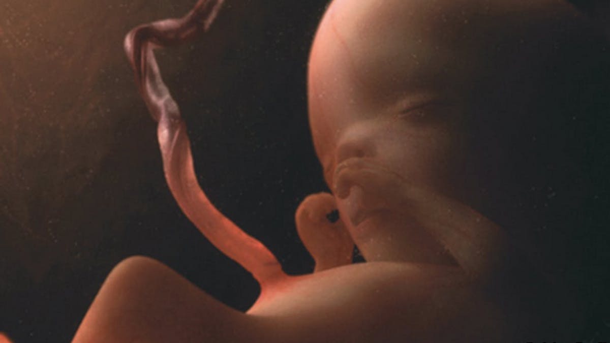 Semaine 14 De Grossesse 16 Sa De Grossesse 14eme Semaine Parents Fr Semaine 14 De Grossesse 16 Sa De Grossesse 14eme Semaine Parents Fr