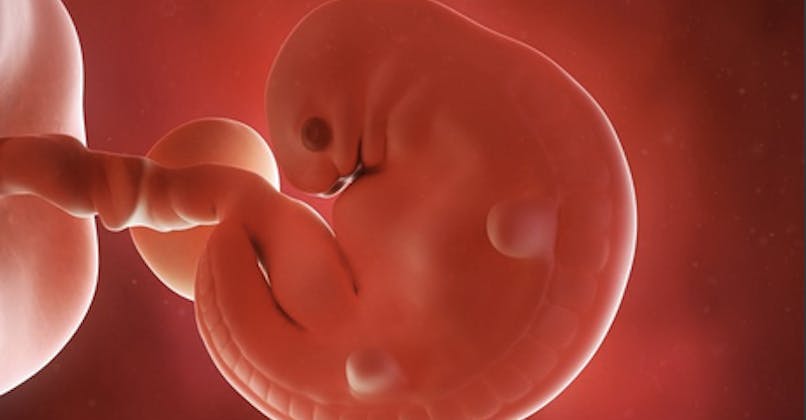 5 Semaine De Grossesse 7 Sa De Grossesse 5eme Semaine Parents Fr 5 Semaine De Grossesse 7 Sa De Grossesse 5eme Semaine Parents Fr