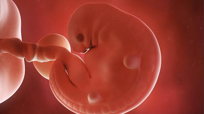 5 Semaine De Grossesse 7 Sa De Grossesse 5eme Semaine Parents Fr 5 Semaine De Grossesse 7 Sa De Grossesse 5eme Semaine Parents Fr