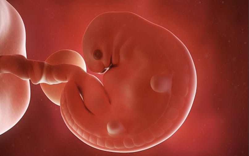 5 Semaine De Grossesse 7 Sa De Grossesse 5eme Semaine Parents Fr 5 Semaine De Grossesse 7 Sa De Grossesse 5eme Semaine Parents Fr