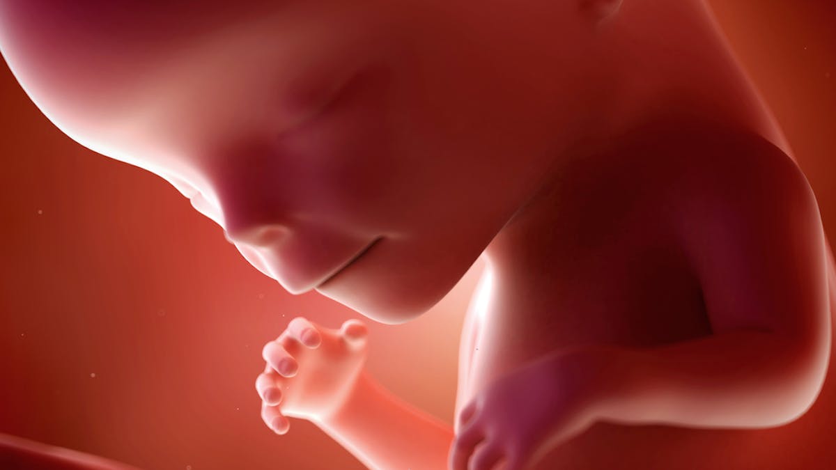 12e Semaine De Grossesse 12 Semaines De Grossesse 14 Sa Parents Fr 12e Semaine De Grossesse 12 Semaines De Grossesse 14 Sa Parents Fr