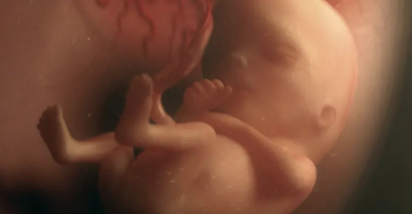 Semaine 16 De Grossesse 16 Semaines De Grossesse 18 Sa Parents Fr Semaine 16 De Grossesse 16 Semaines De Grossesse 18 Sa Parents Fr