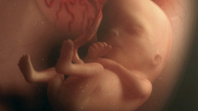Semaine 16 De Grossesse 16 Semaines De Grossesse 18 Sa Parents Fr Semaine 16 De Grossesse 16 Semaines De Grossesse 18 Sa Parents Fr
