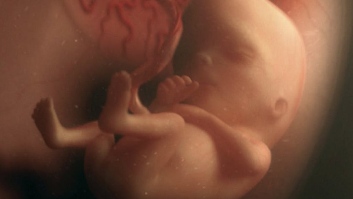 Semaine 16 De Grossesse 16 Semaines De Grossesse 18 Sa Parents Fr Semaine 16 De Grossesse 16 Semaines De Grossesse 18 Sa Parents Fr