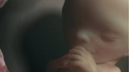 Grossesse Semaine Par Semaine Ou En Est Votre Bebe Parents Fr Grossesse Semaine Par Semaine Ou En Est Votre Bebe Parents Fr