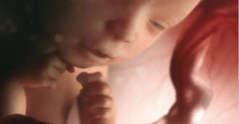 Semaine 19 De Grossesse 19 Semaines De Grossesse 21 Sa Parents Fr Semaine 19 De Grossesse 19 Semaines De Grossesse 21 Sa Parents Fr
