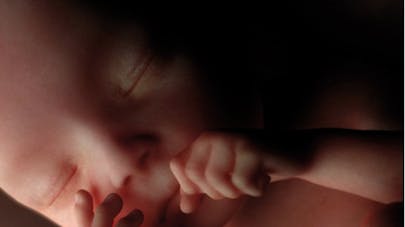 20 Semaines De Grossesse 20e Semaine De Grossesse 22 Sa