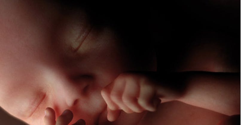 Semaines De Grossesse Sa De Grossesse eme Semaine Parents Fr Semaines De Grossesse Sa De Grossesse eme Semaine Parents Fr