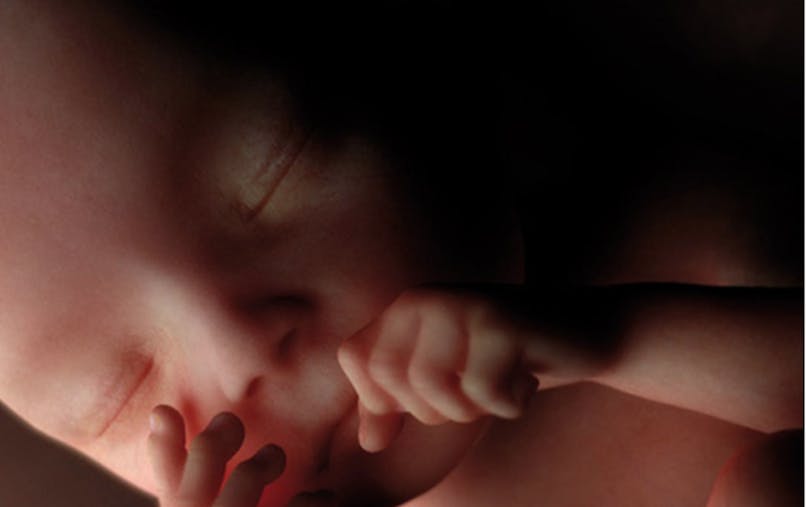 Semaines De Grossesse Sa De Grossesse eme Semaine Parents Fr Semaines De Grossesse Sa De Grossesse eme Semaine Parents Fr