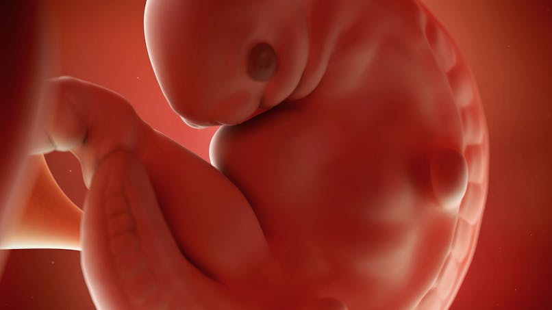 6 Semaine De Grossesse 8 Sa De Grossesse 6eme Semaine Parents Fr 6 Semaine De Grossesse 8 Sa De Grossesse 6eme Semaine Parents Fr