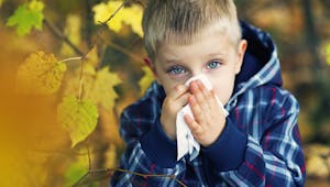 Les allergies respiratoires sévères sont en plein boom, alertent les spécialistes