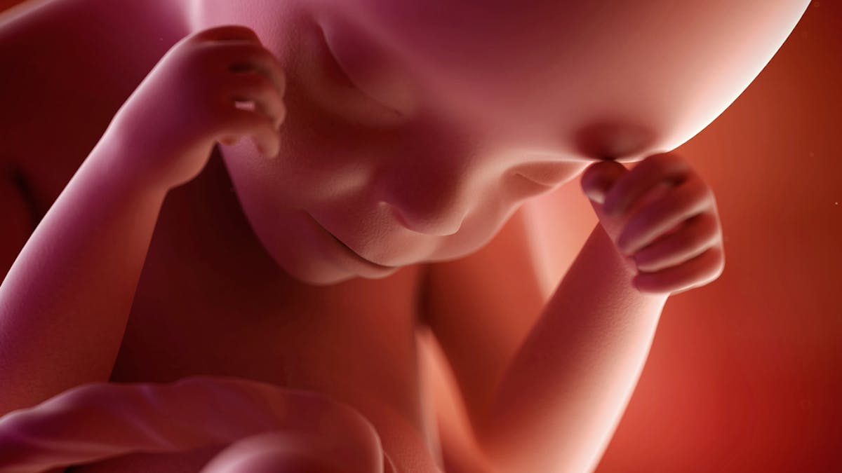 24eme Semaine De Grossesse 24 Sg 26 Sa Parents Fr 24eme Semaine De Grossesse 24 Sg 26 Sa Parents Fr