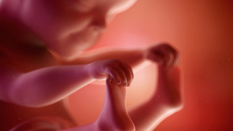 25 Semaines De Grossesse 27 Sa Parents Fr 25 Semaines De Grossesse 27 Sa Parents Fr