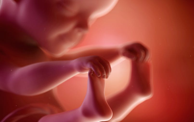 25 Semaines De Grossesse 27 Sa Parents Fr 25 Semaines De Grossesse 27 Sa Parents Fr