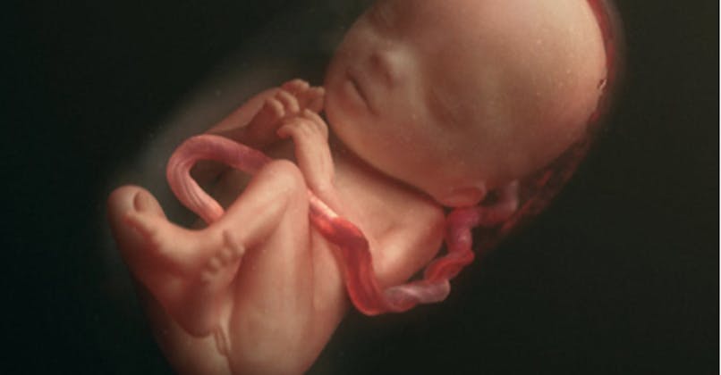 Semaine 21 De Grossesse 23 Sa De Grossesse 21eme Semaine Parents Fr Semaine 21 De Grossesse 23 Sa De Grossesse 21eme Semaine Parents Fr